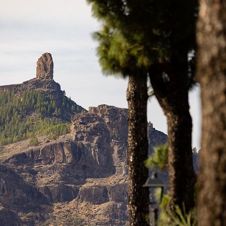 Casa Maria With Roque Nublo View Apartment Tejeda  Exterior photo
