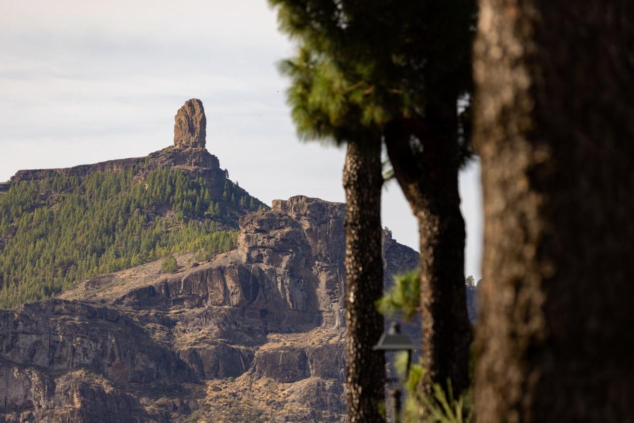 Casa Maria With Roque Nublo View Apartment Tejeda  Exterior photo