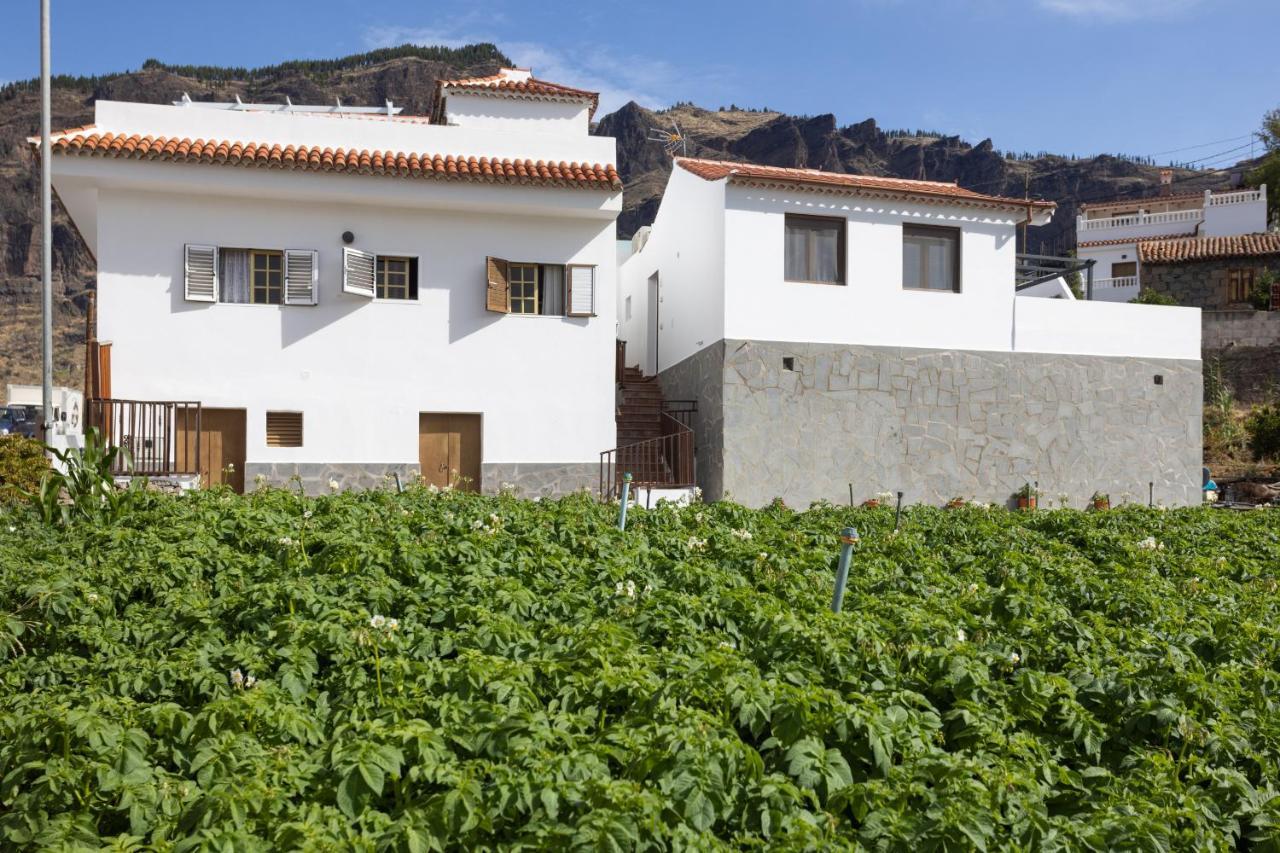 Casa Maria With Roque Nublo View Apartment Tejeda  Exterior photo